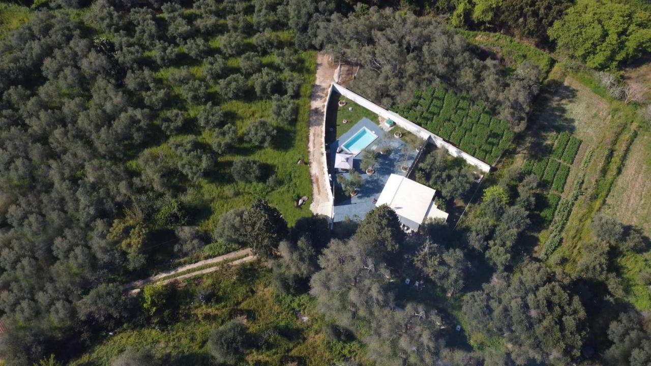 Villa Gardiki For2 Χαλικούνας Εξωτερικό φωτογραφία